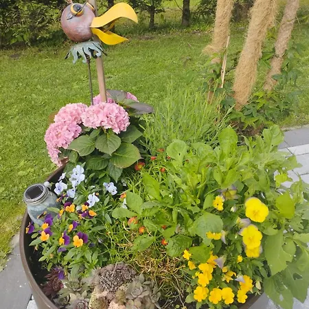 Apartamento Kathis Burgblick *