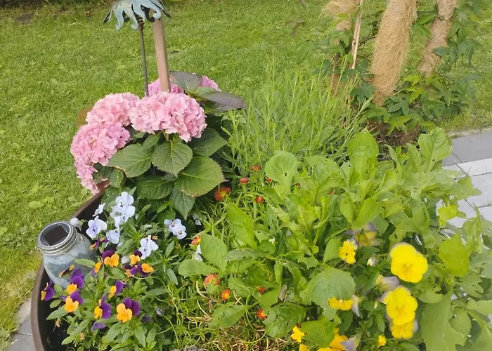 Lägenhet Kathis Burgblick *